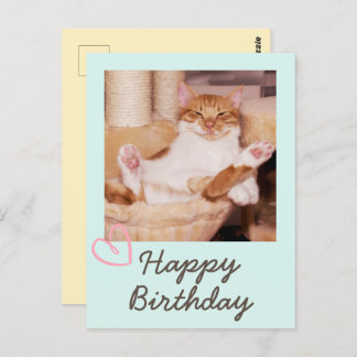 Vintage Funny Cat and Happy Birthday Postcard