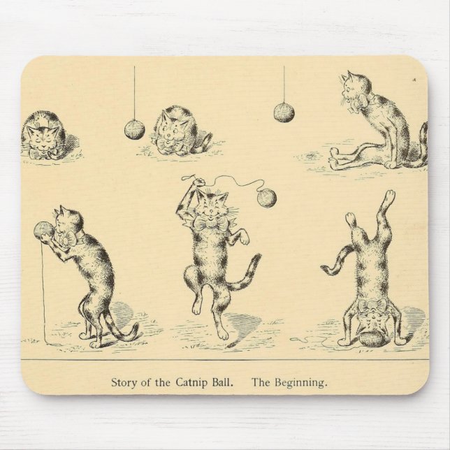 Vintage Funny Catnip Cat Mouse Mat (Front)