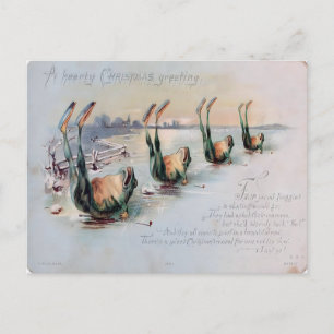 Vintage Funny Frog Skating Fail Postcard
