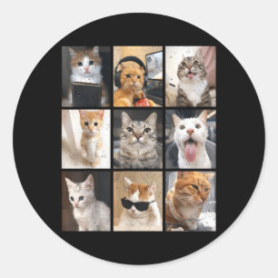 Vintage Funny Memes Cute Cat Men Women Kid Classic Round Sticker