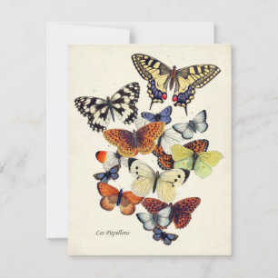 Vintage Garden Butterflies Card