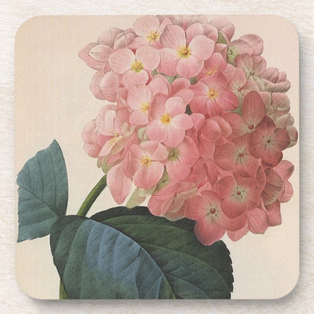 Vintage Garden Flowers, Pink Hydrangea Hortensia Coaster (Front)