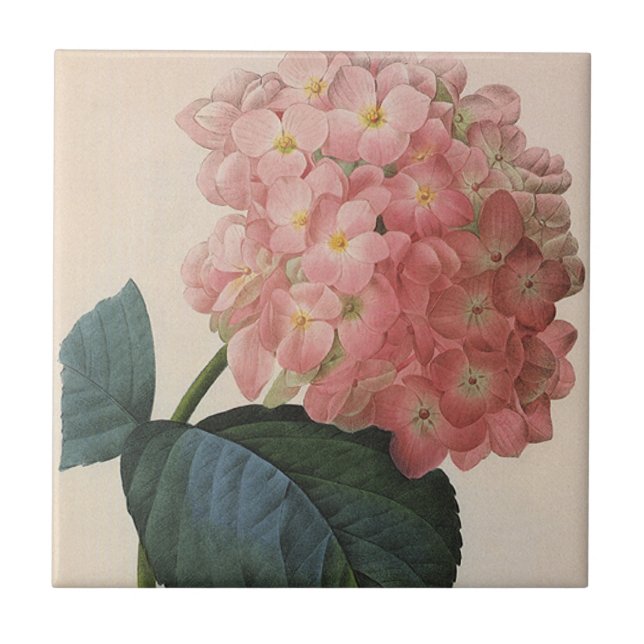 Vintage Garden Flowers, Pink Hydrangea Hortensia Tile (Front)