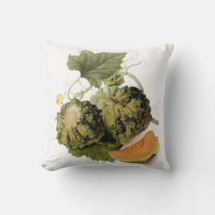 Vintage Garden Gourd & Vine Cushion
