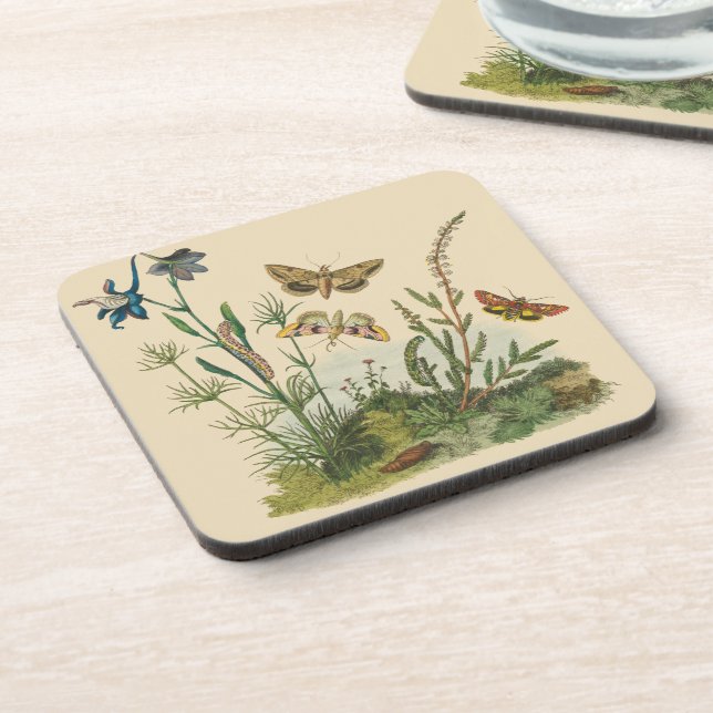 Vintage Garden Insects, Butterflies, Caterpillars Coaster (Left Side)