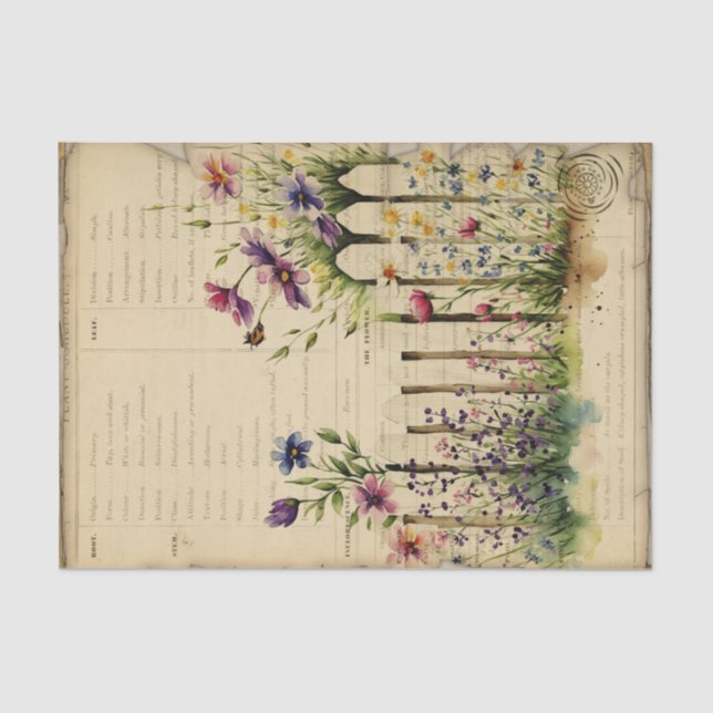 Vintage Garden Journal Tissue Paper (Front)