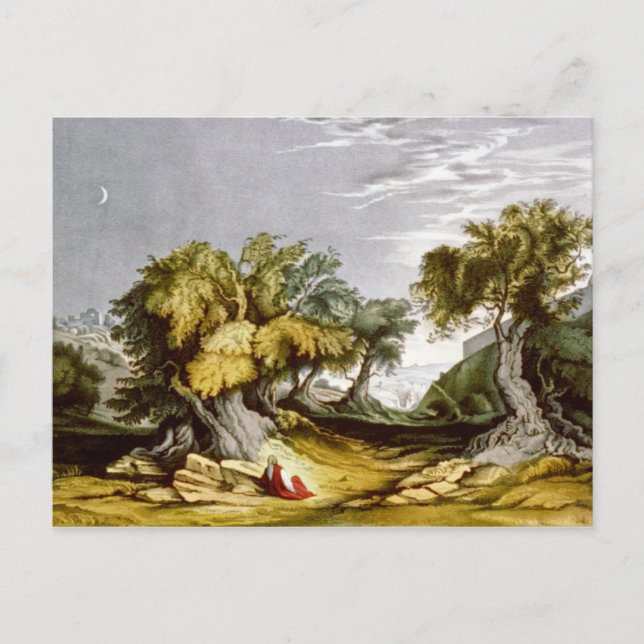 Vintage Garden of Gethsemane Illustration 1846 Postcard (Front)