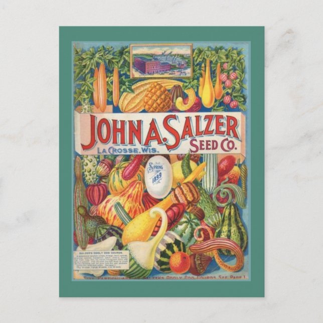 Vintage Garden Seed Packet Post Card (Front)