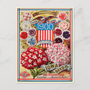 Vintage Gardening Flower Seeds Catalogue Postcard