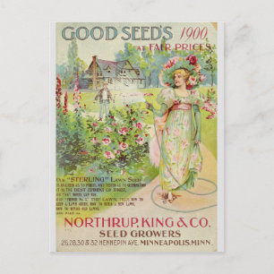 Vintage Gardening Flower Seeds Catalogue Postcard