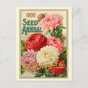 Vintage Gardening Flower Seeds Catalogue Postcard
