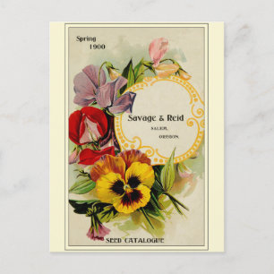 Vintage Gardening Flower Seeds Catalogue Postcard
