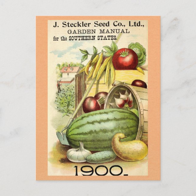 Vintage Gardening Fruit Vegetable Garden Manual Postcard (Front)