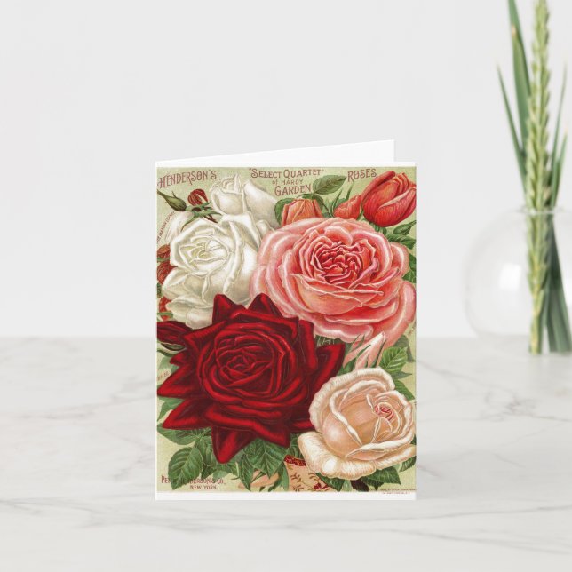 Vintage Gardening Roses Note Card (Front)
