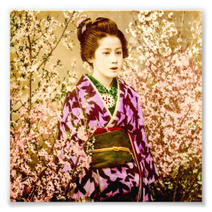 Vintage Geisha Posing in Cherry Blossoms Photo Print