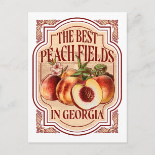 Vintage Georgia Peach Fields Postcard