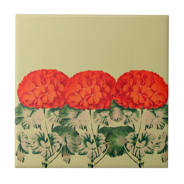 Vintage Geranium Trio  - bold floral    Tile (Front)