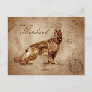 Vintage german shepherd postcard