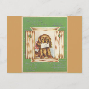 Vintage Get Well Dog With Letter Postcard