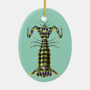 Vintage Giant Mantis Shrimp Marine Art Print Ceramic Tree Decoration