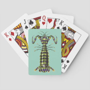 Vintage Giant Mantis Shrimp Marine Art Print Playing Cards