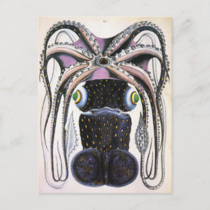 Vintage Giant Squid or Octopus, Marine Life Animal Postcard