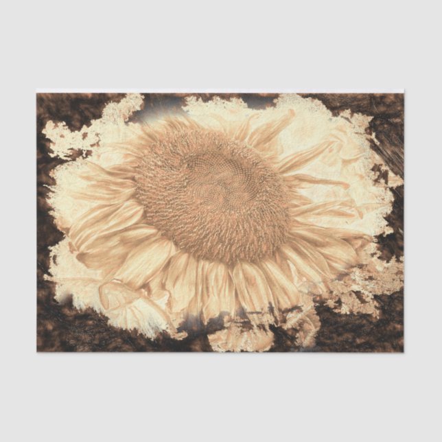 Vintage Giant Sunflowers Painted Rustic Vignette Tissue Paper (Front)