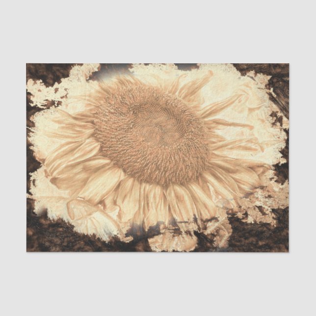 Vintage Giant Sunflowers Painted Rustic Vignette Tissue Paper (Front)