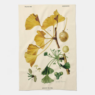Vintage Ginkgo Biloba Botanical Illustration Tea Towel