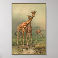 Vintage Giraffe Art Customise Print African Plains