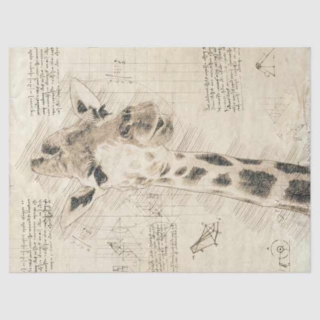 Vintage Giraffe Drawing Tissue Paper (Front)
