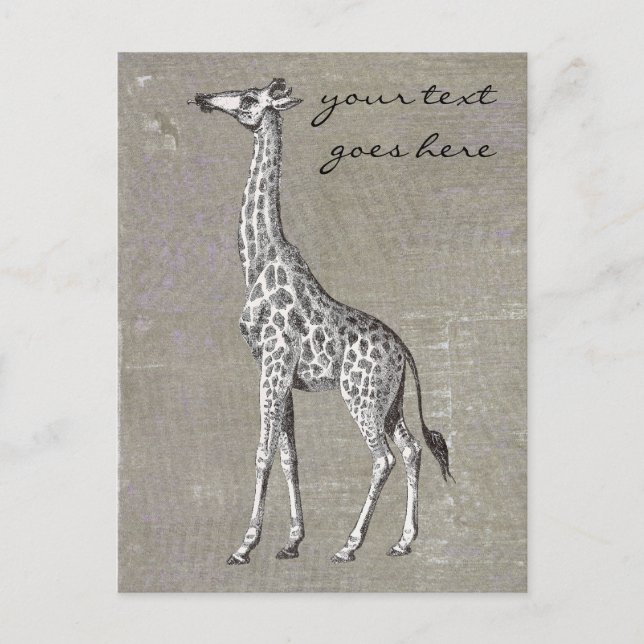 Vintage Giraffe Postcard (Front)