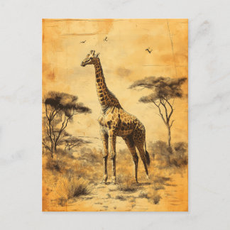 Vintage Giraffe South Africa Savanne Postcard