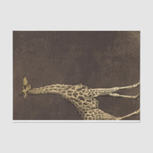 Vintage Giraffe Tissue Paper