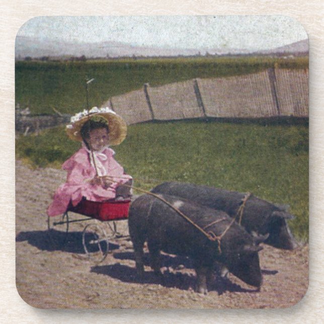 Vintage Girl With Her Pet Pigs Coaster (Front)