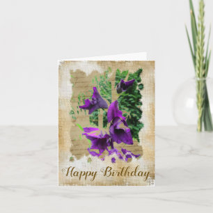 Vintage Gladiole Card