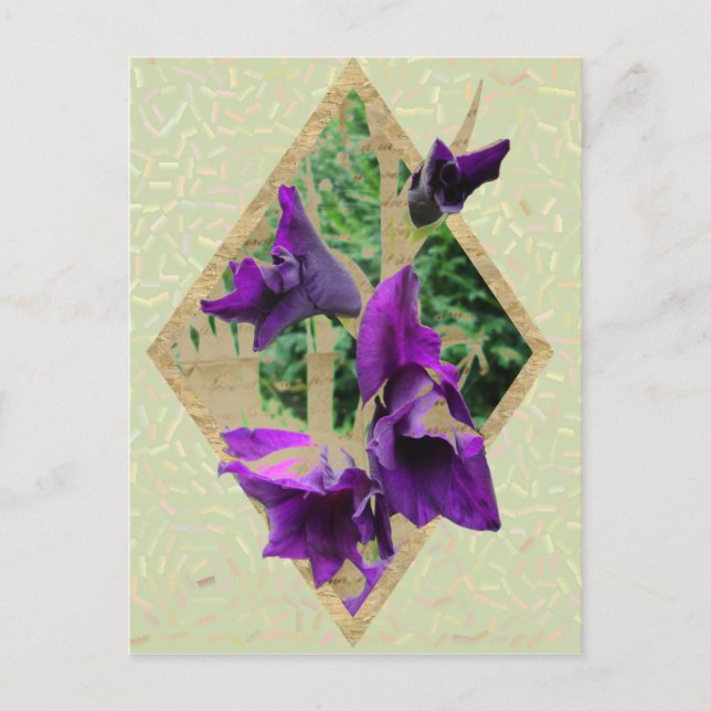 Vintage Gladiole Postcard (Front)