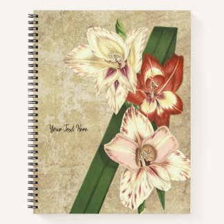 Vintage Gladioli Notebook