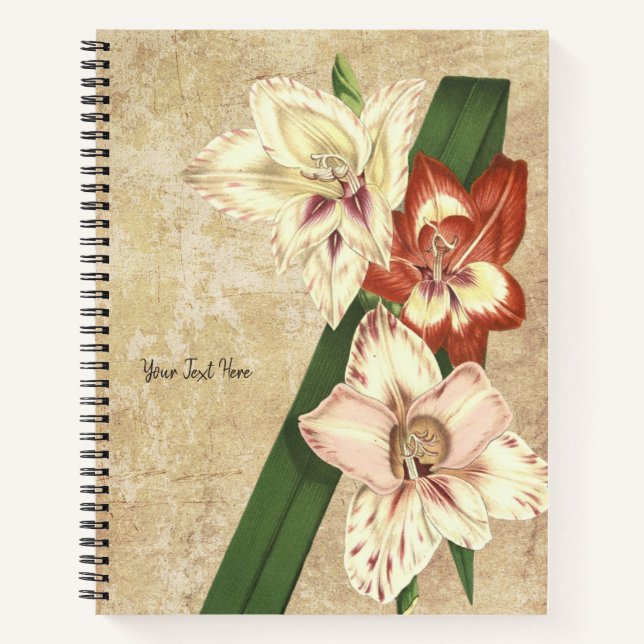 Vintage Gladioli Notebook (Front)