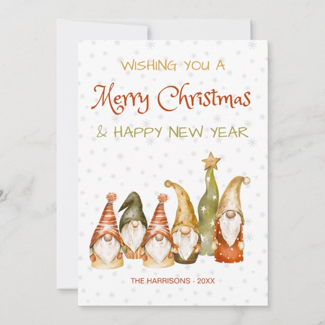 Vintage Gnomes Snow Flakes Christmas Holiday Card (Front)