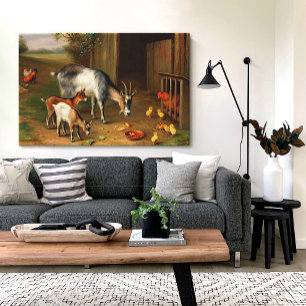 Vintage Goats And Chickens At The Farm  Canvas Print