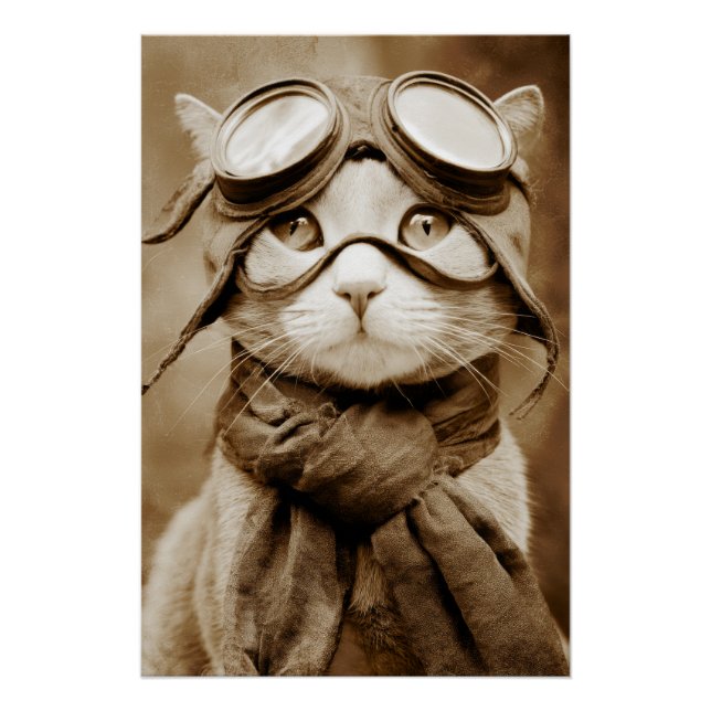 Vintage Goggle Cat Scarf Retro Print (Front)