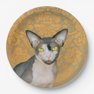 Vintage Gold Damask Sphynx Cat by Rex Cats Paper Plate