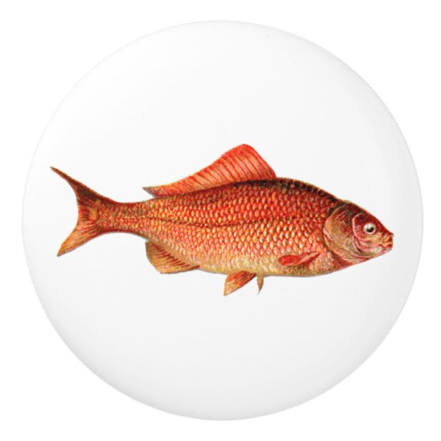 Vintage gold fish / goldfish ceramic knob (Front)