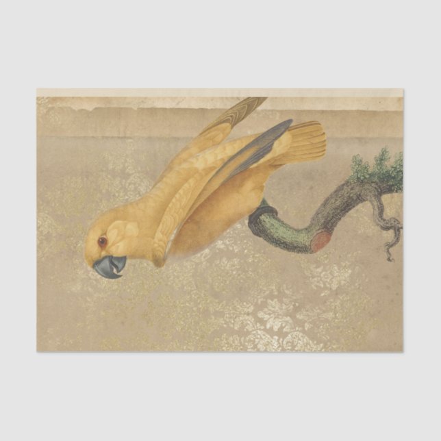 Vintage Gold Parrot Tissue Paper (Front)