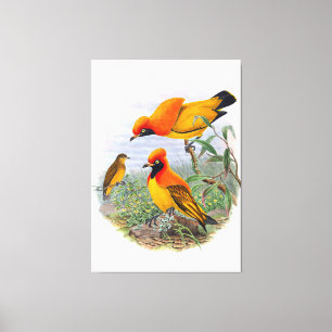 Vintage Golden Bird Of Paradise Canvas Print