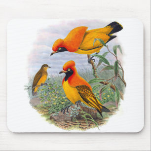 Vintage Golden Bird Of Paradise - Mousepad
