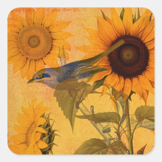 Vintage Golden Sunflower Collage Square Sticker (Front)
