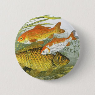 Vintage Goldfish Koi Fish, Marine Aquatic Sea Life 6 Cm Round Badge