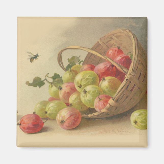 Vintage gooseberries magnet (Front)
